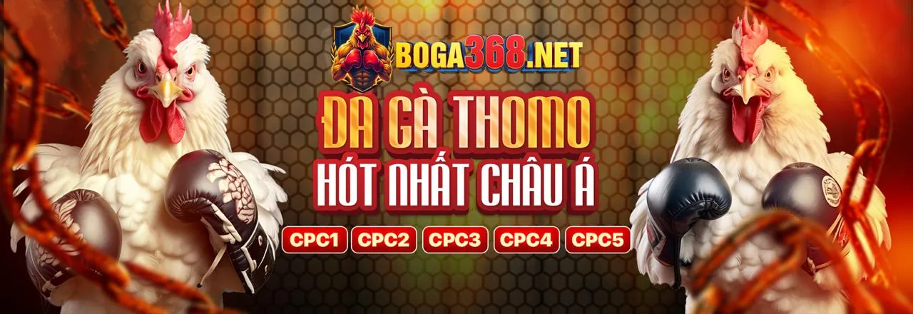 Chơi cá cược có trách nhiệm tại 3win login
